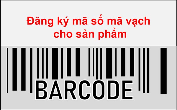 Đăng ký mã vạch sản phẩm ở đâu theo quy định?