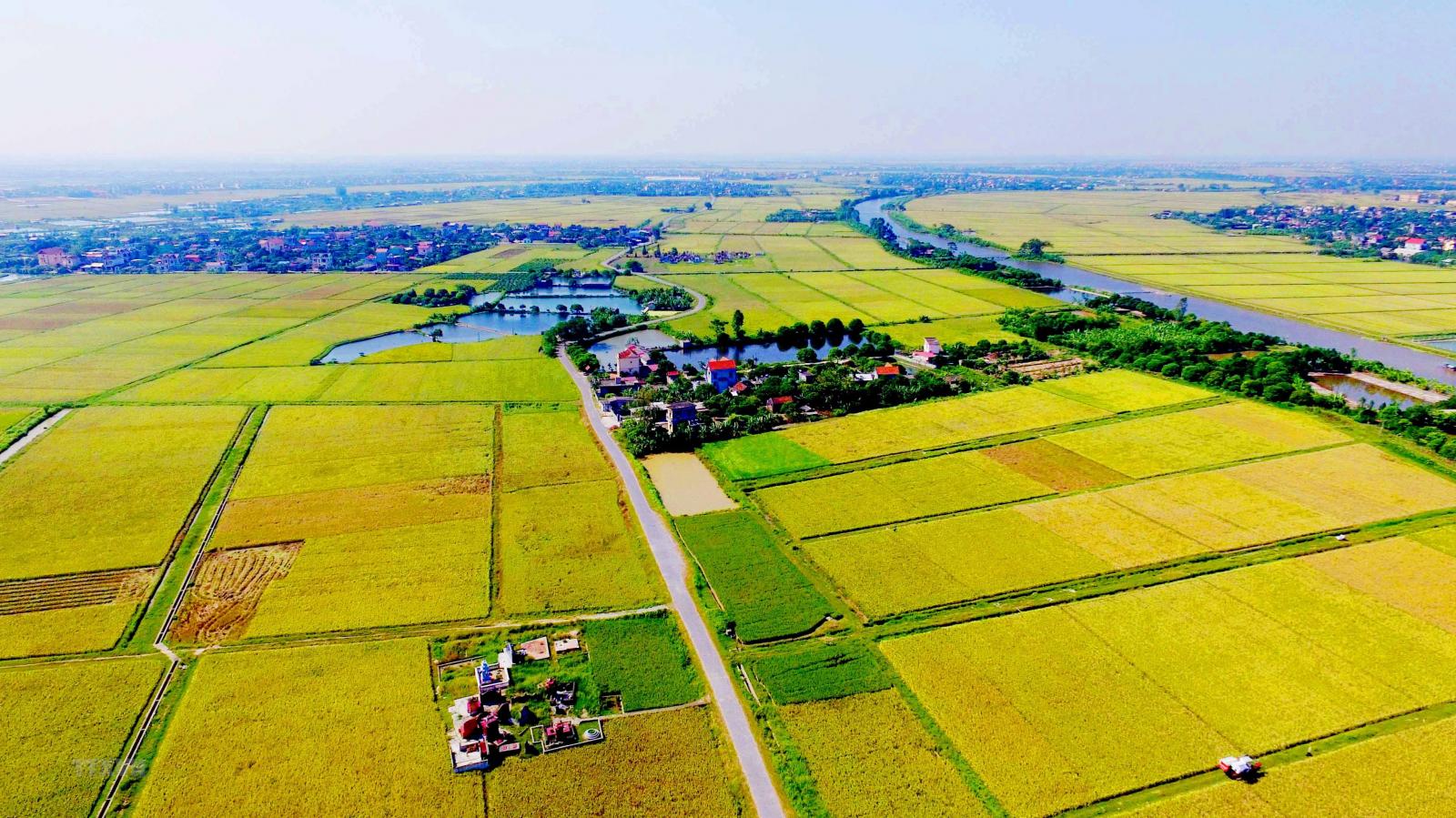 1 mét vuông đất nông thôn bao nhiêu tiền