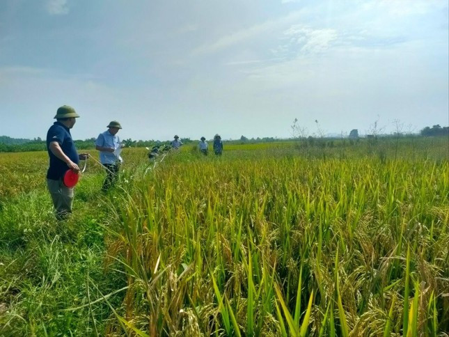 Người sử dụng đất là gì