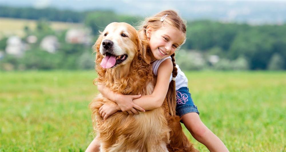 Bảo hiểm trách nhiệm dân sự chủ vật nuôi