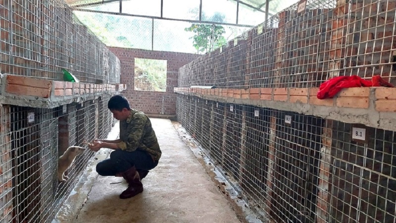 Cấp mã số cơ sở nuôi động vật hoang dã