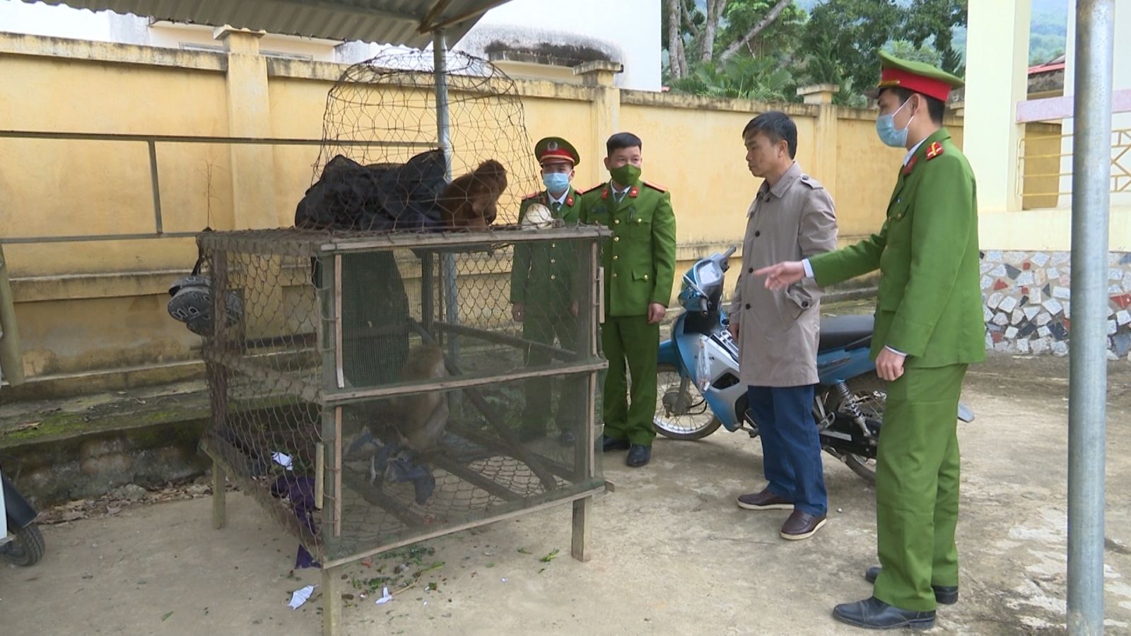 Cấp mã số cơ sở nuôi động vật hoang dã