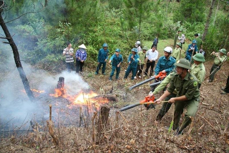 Bản cam kết phòng cháy chữa cháy rừng
